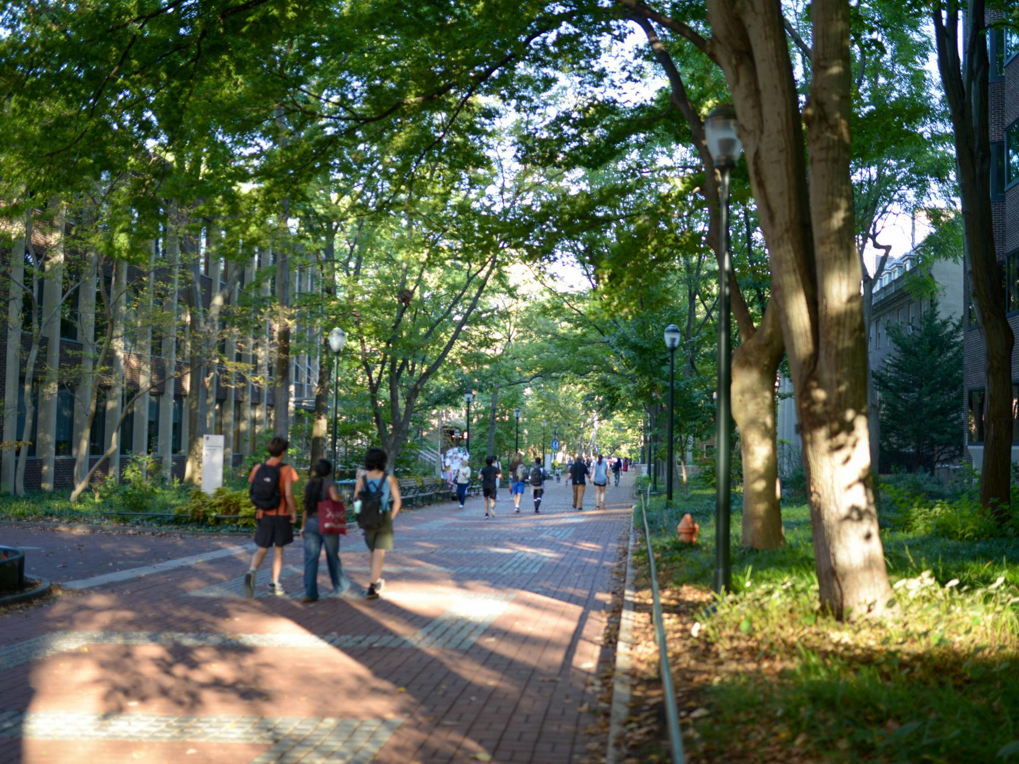 10-5-25 Locust Walk (Layla Nazif)-1.jpg