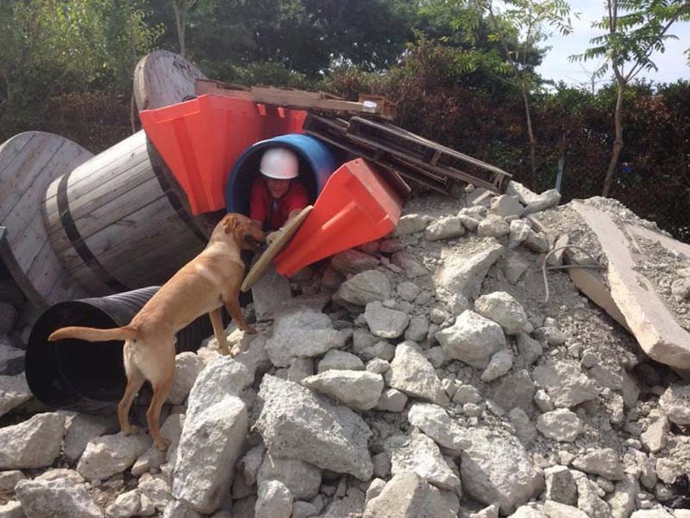 	The Center created this giant pile of rubble with the help of a construction company to simulate a search and rescue situation.  Jake, an intermediate level dog, climbs to the top of the rubble, a skill which younger dogs can’t yet perform.