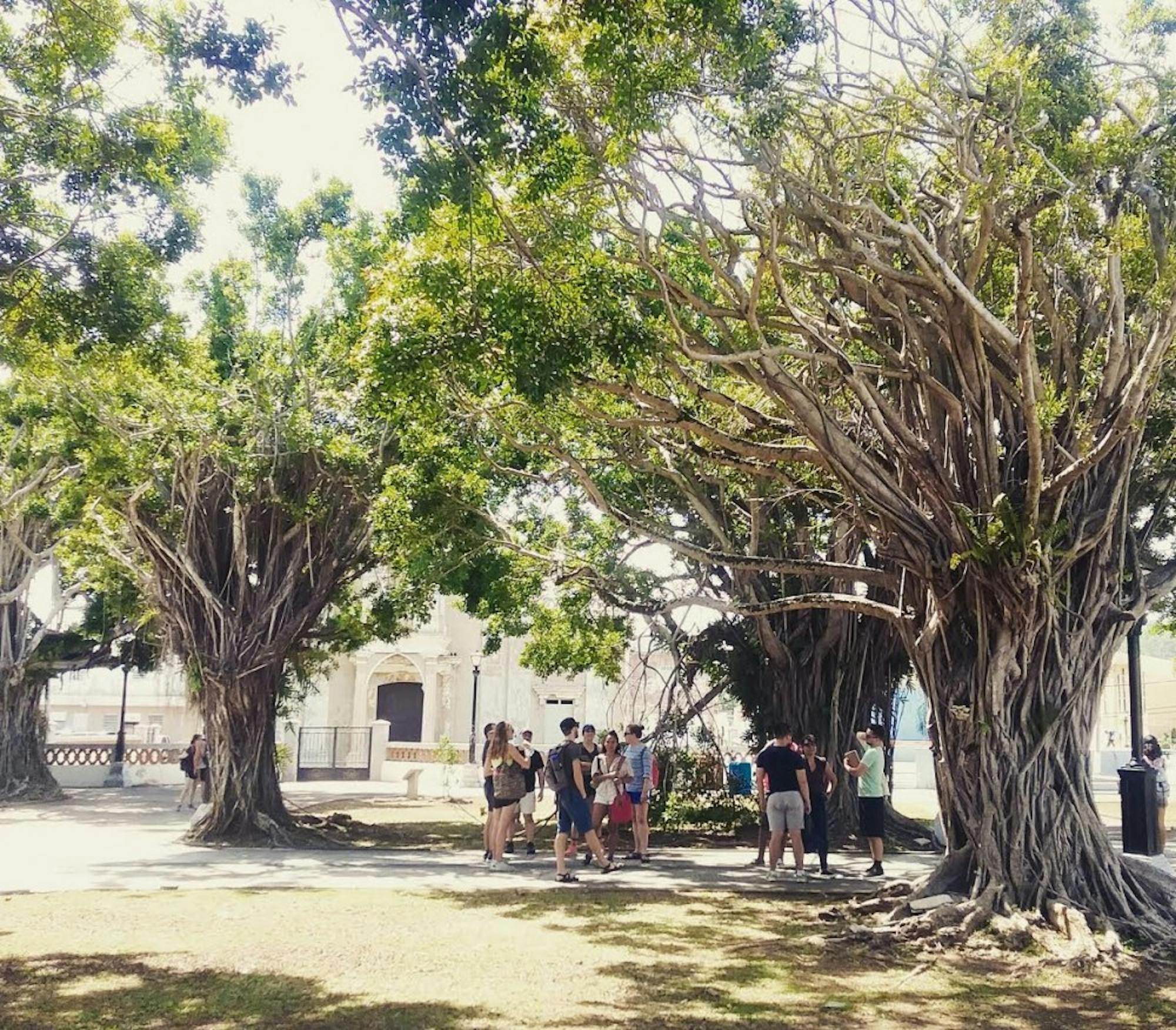 Puerto Rico Design Disaster Relief 