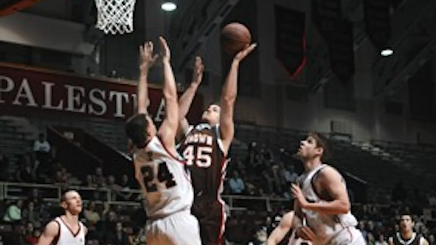 Ivy Hoops Notebook | Title further from Tigers' Eye