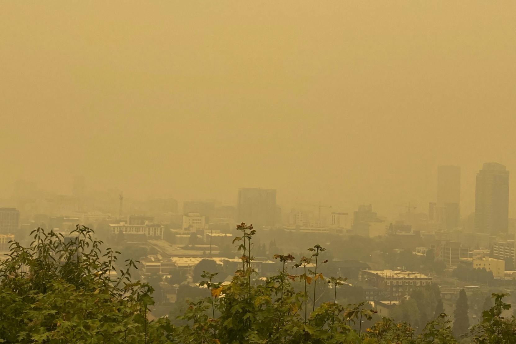Yellow Tinted Smoky Haze West Coast Wildfires.jpg