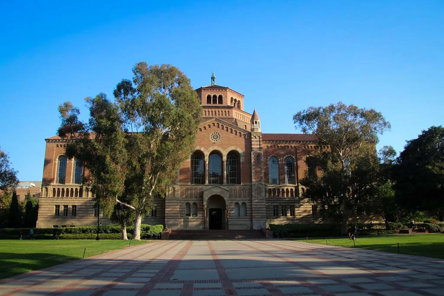 photo by corey seeman powell library (CC BY-NC-SA 2.0).jpg