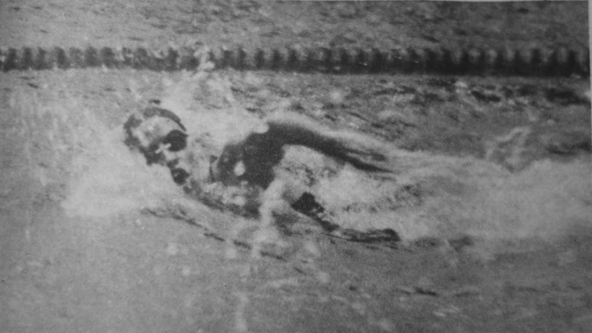 Women's Swimming (Steve Heyman).jpg