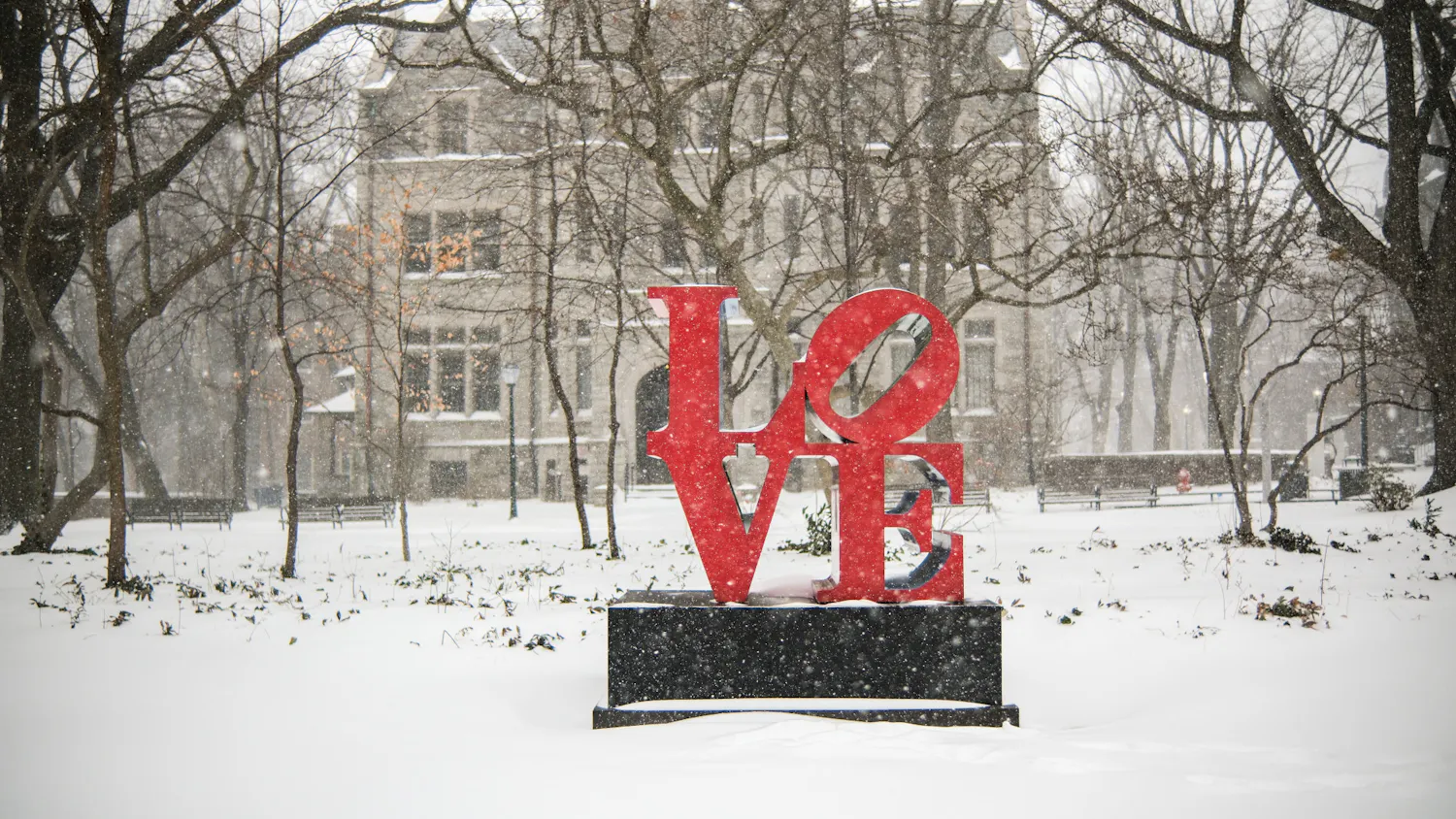 1-25-26 Snow day (Kenny Chen)-1.jpg