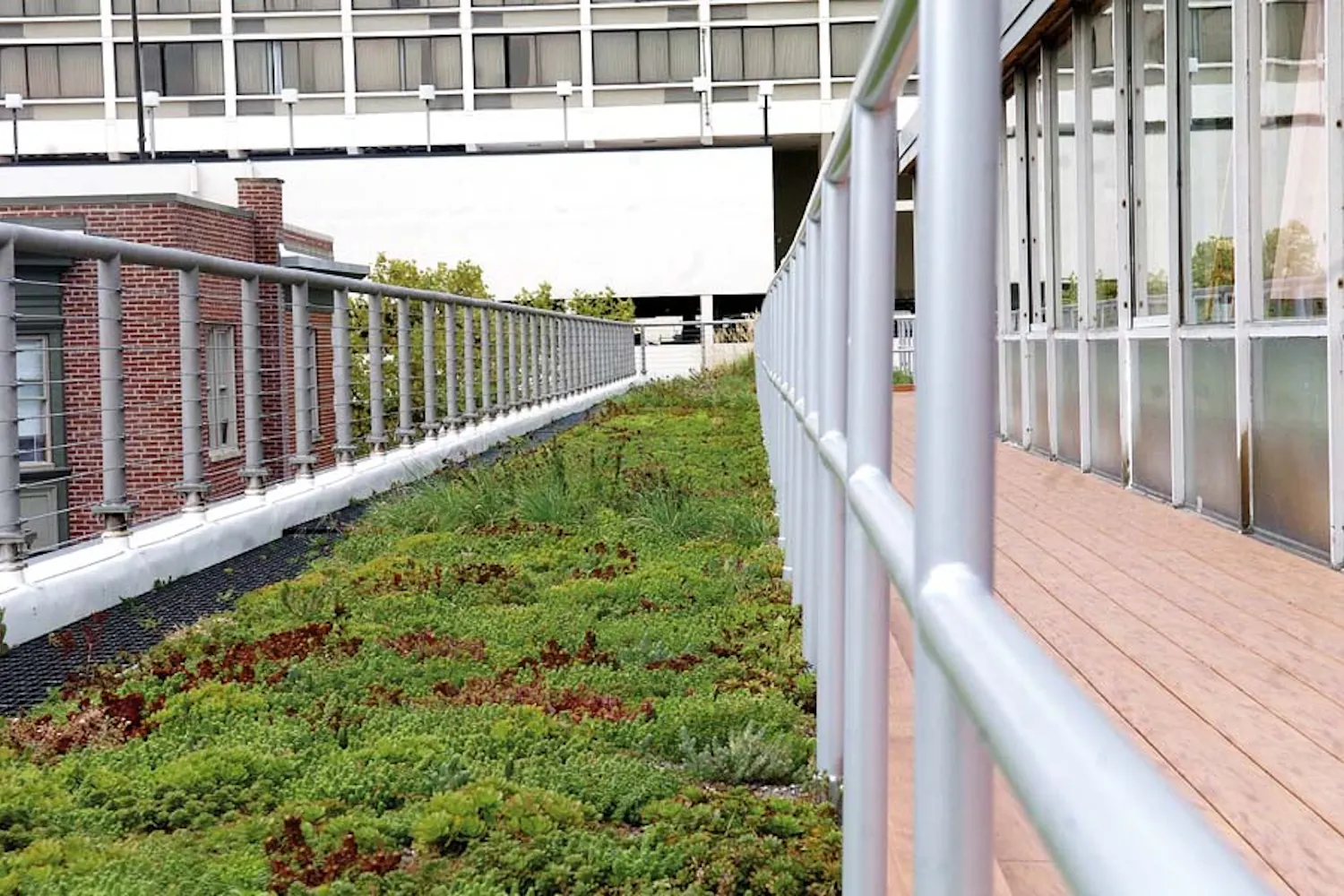 Green roof unveiled at Kings Court/English House