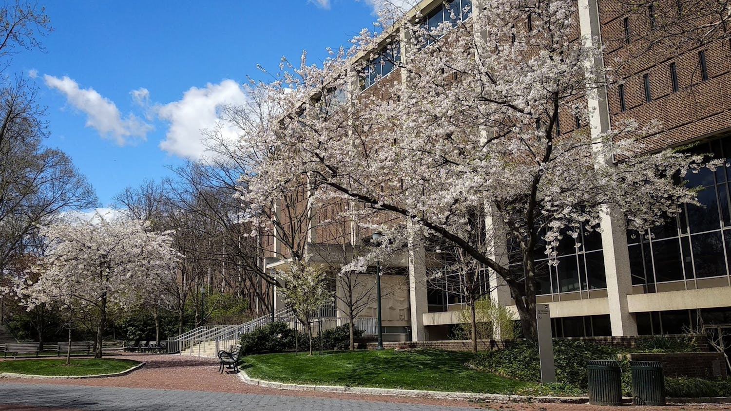 04-07-21 penn libraries spring (Jacky Chan).jpeg