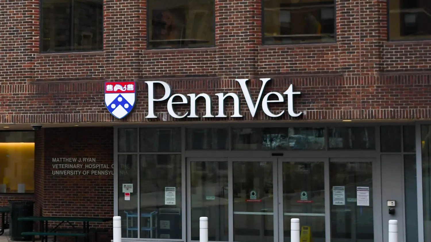 02-11-24 Penn Dental Medicine-Penn Vet (Carly Zhao)-1.jpg