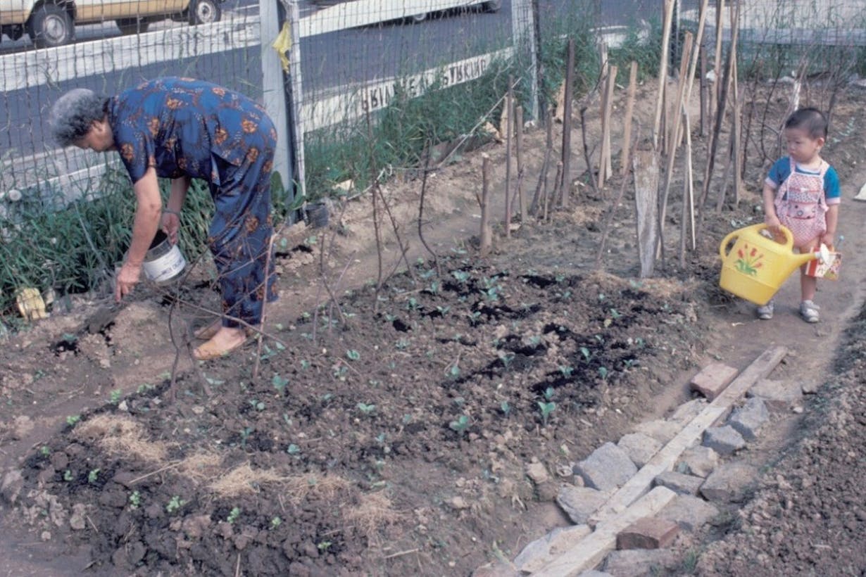 Community Garden before Expressway 