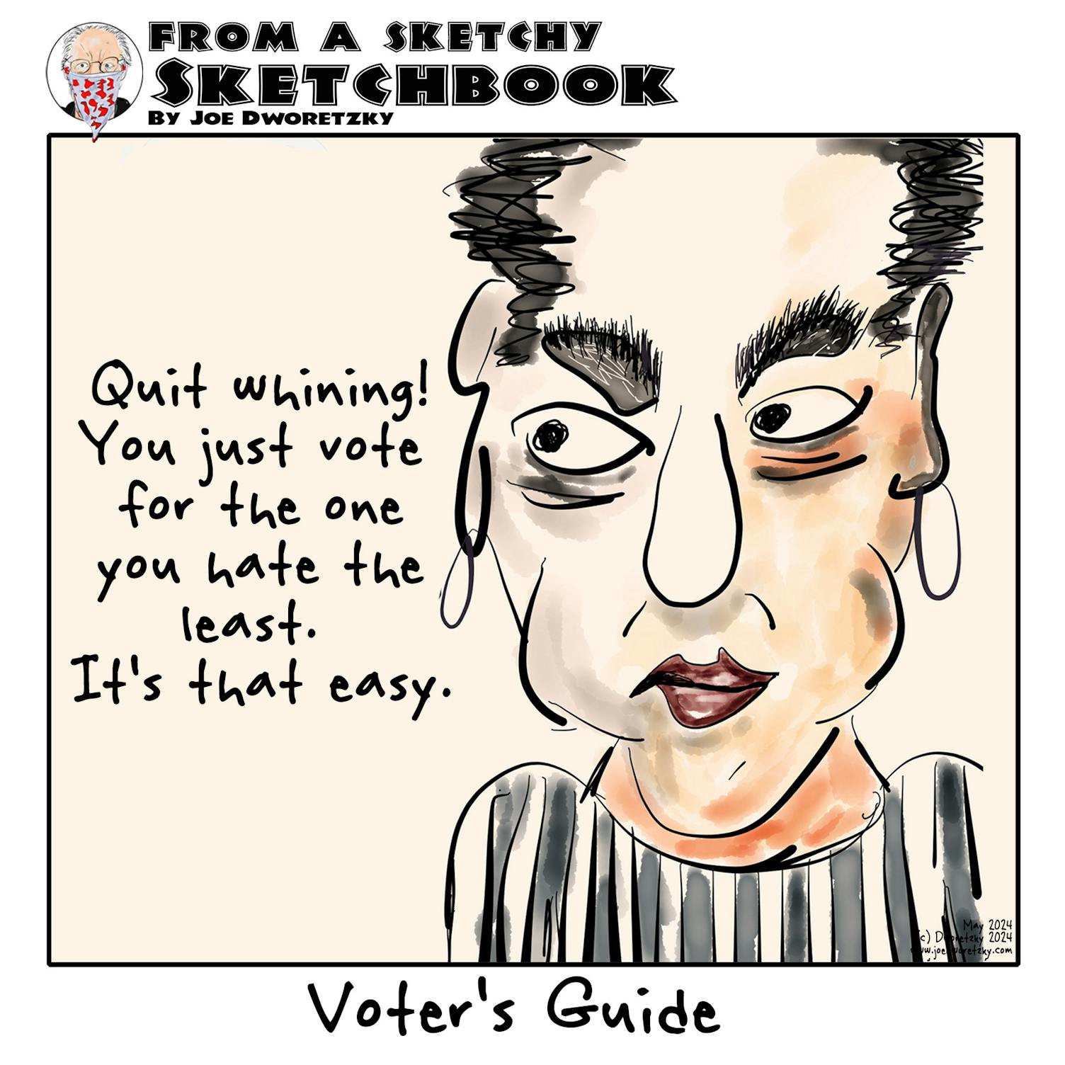 From a Sketchy Sketchbook | Voter's guide