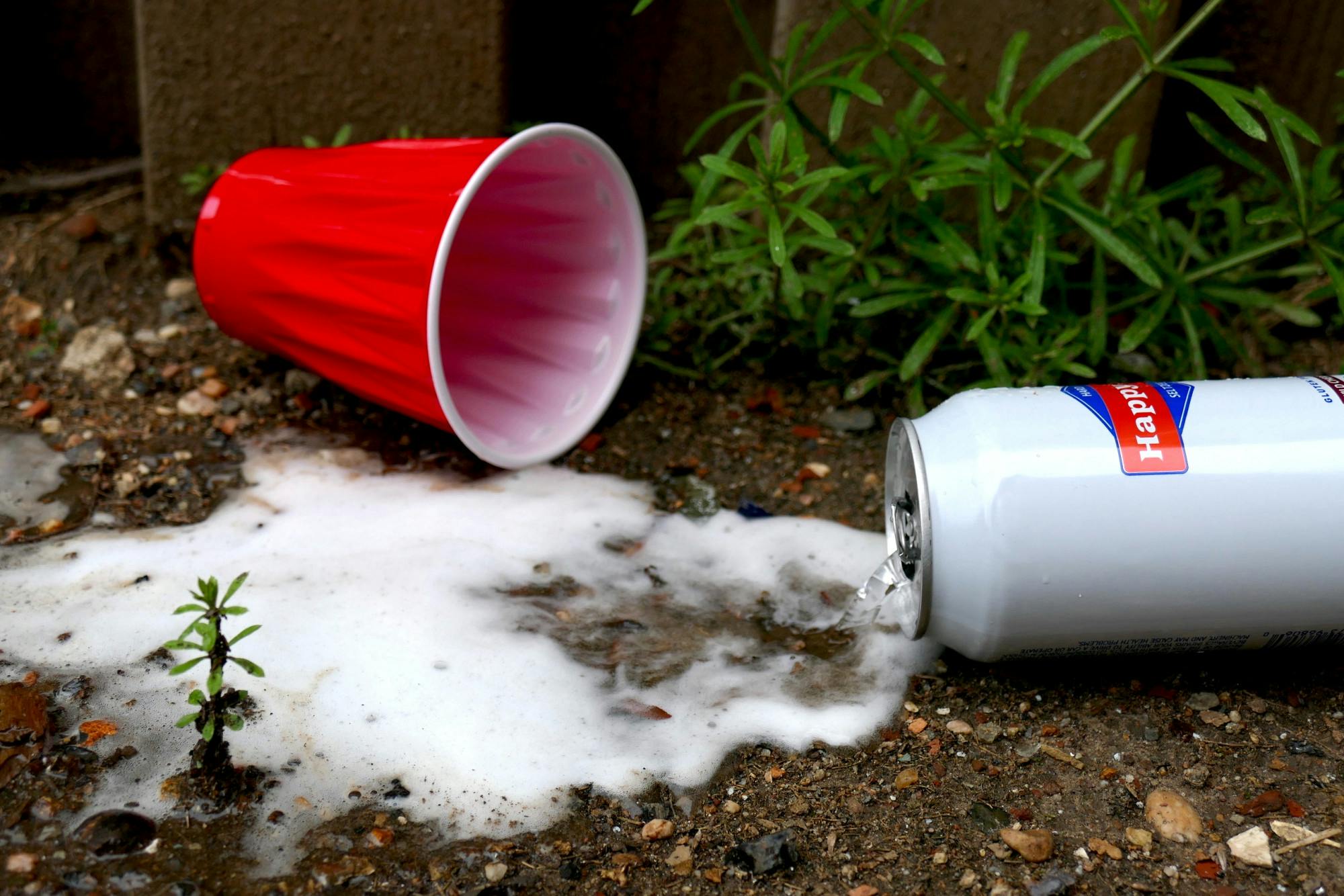 04-02-25 Red Solo Cup (Ellie Pirtle).jpg