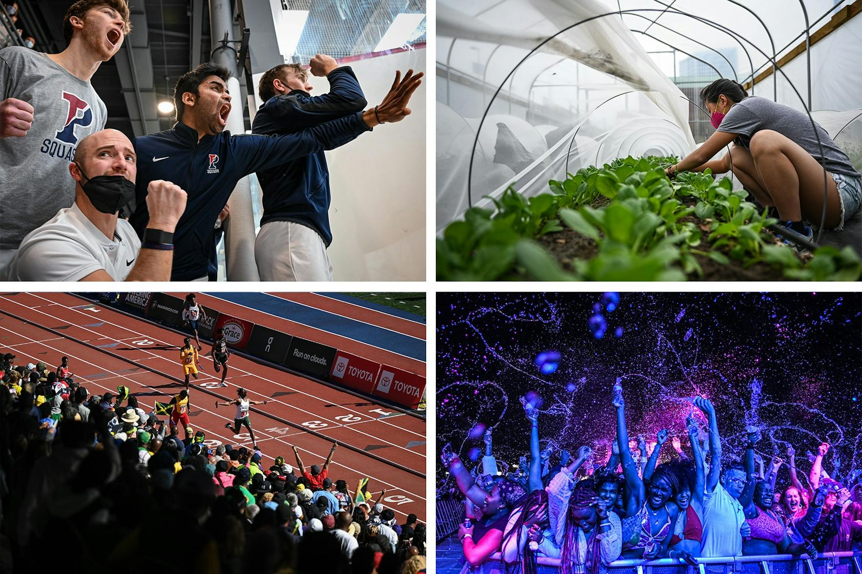 Penn Collage (Kylie Cooper).jpg