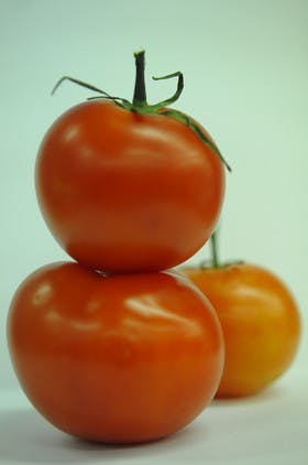 No tomato woes for Penn Dining