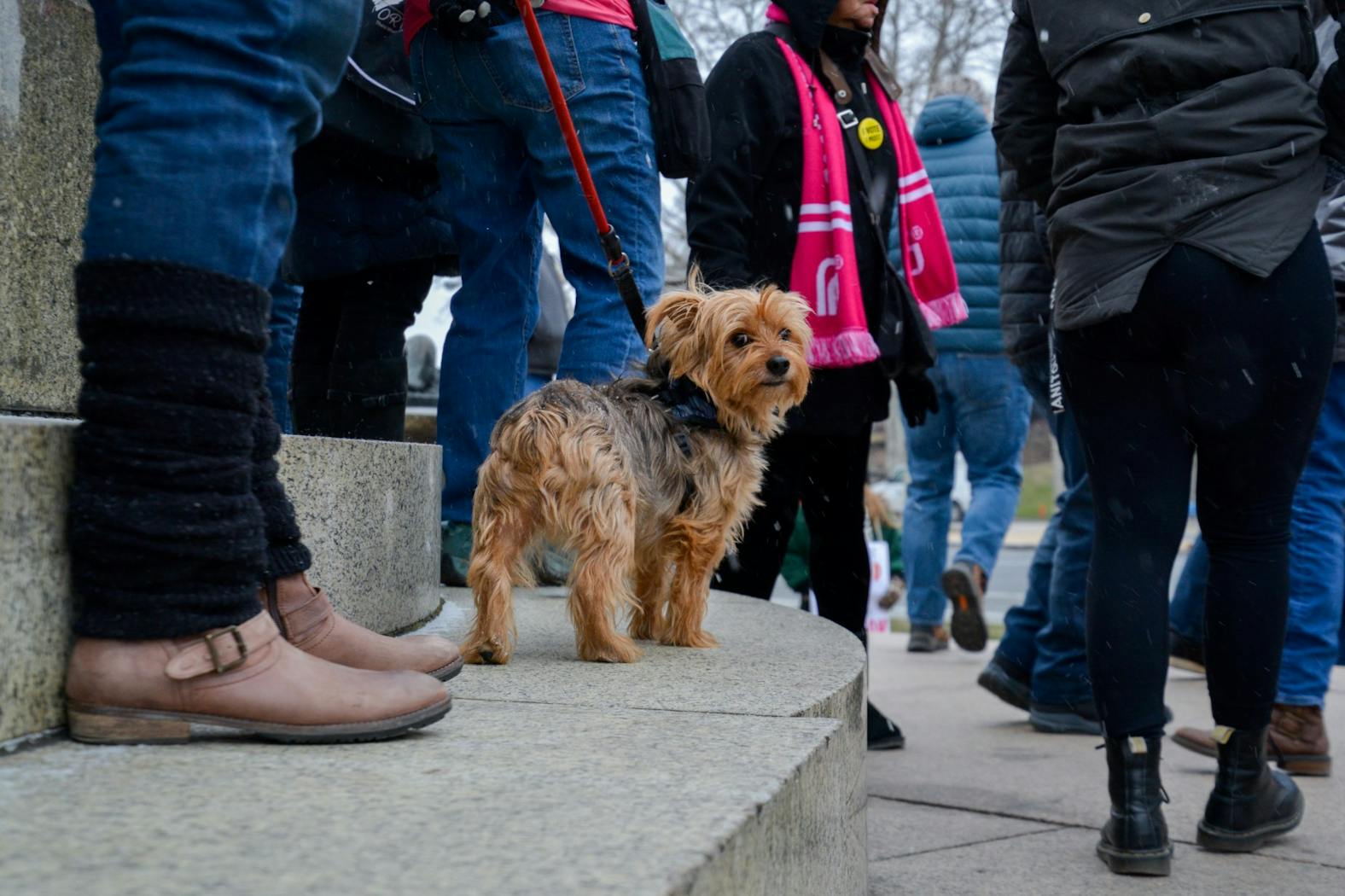 2020 Women's March 003.jpg