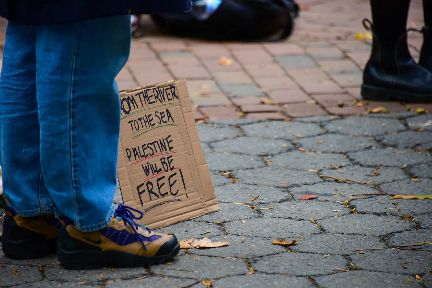 10-16-23 Rally for Palestine (Chenyao Liu).jpg