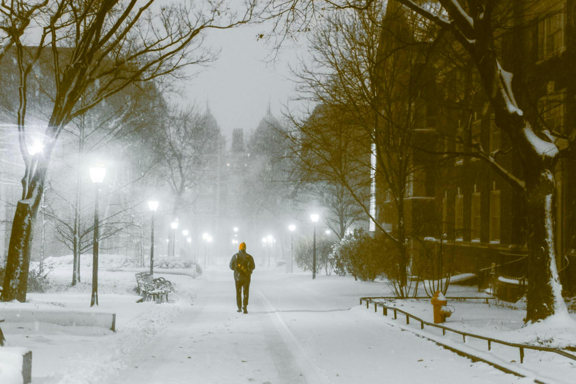 12-17-2020 Winter at Penn (Max Mester)-1.jpg