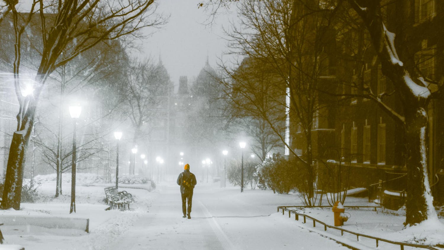 12-17-2020 Winter at Penn (Max Mester)-1.jpg