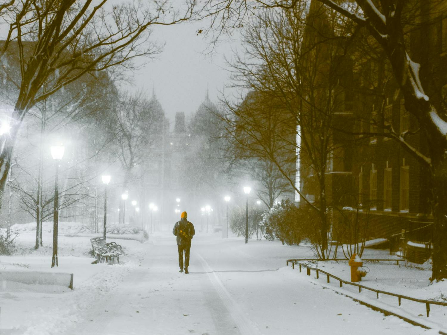 12-17-2020 Winter at Penn (Max Mester)-1.jpg