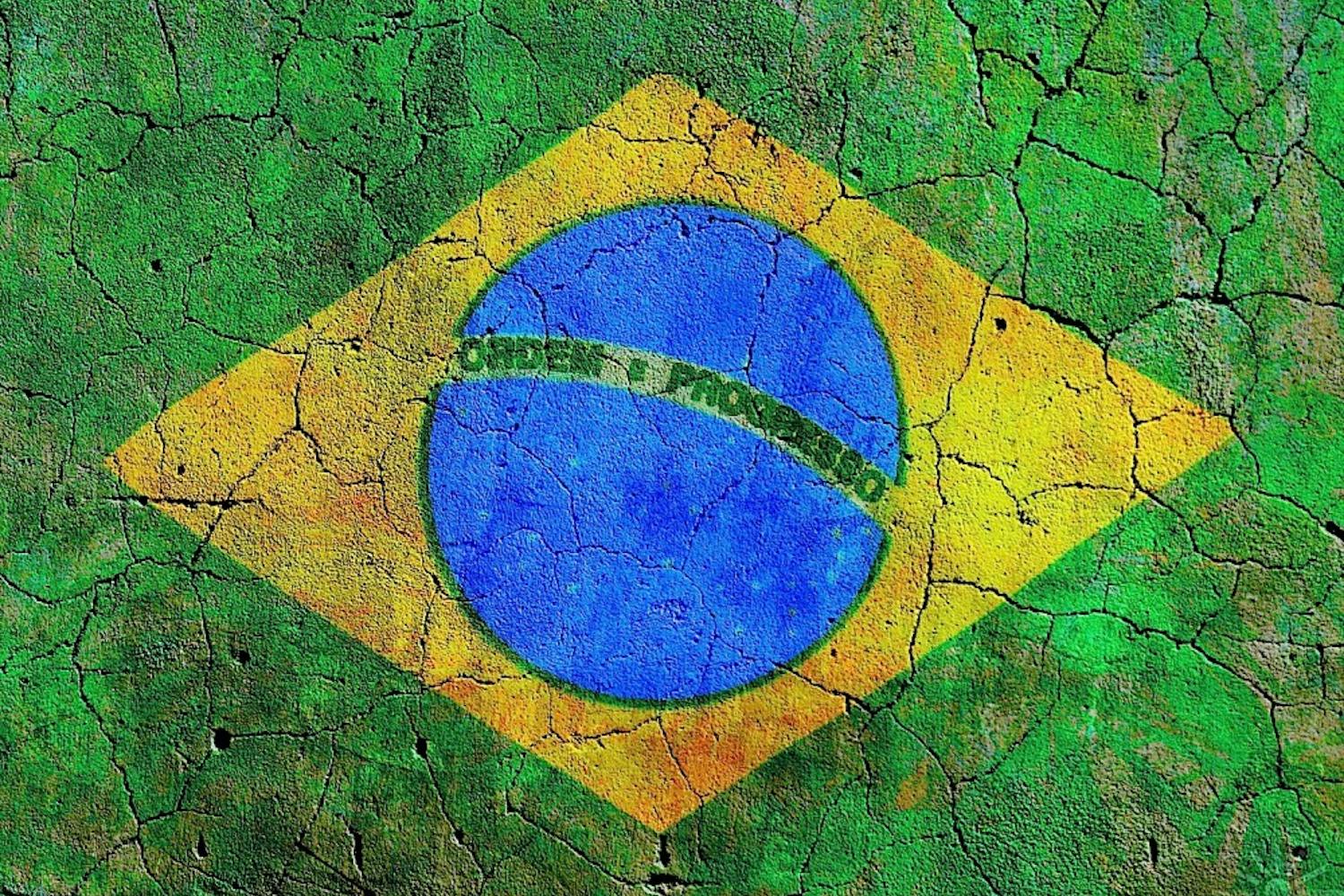 Brazil Flag