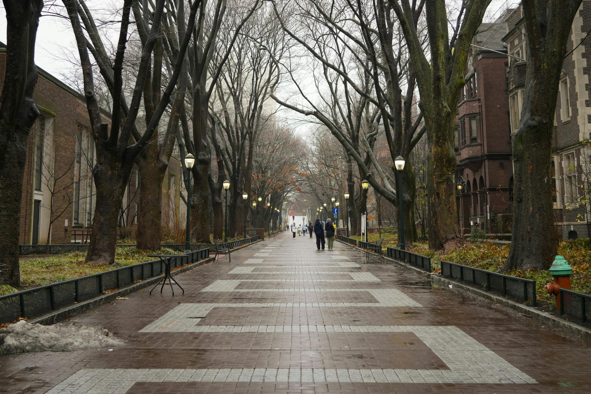 02-16-25 Locust (Netra Mehta).jpg