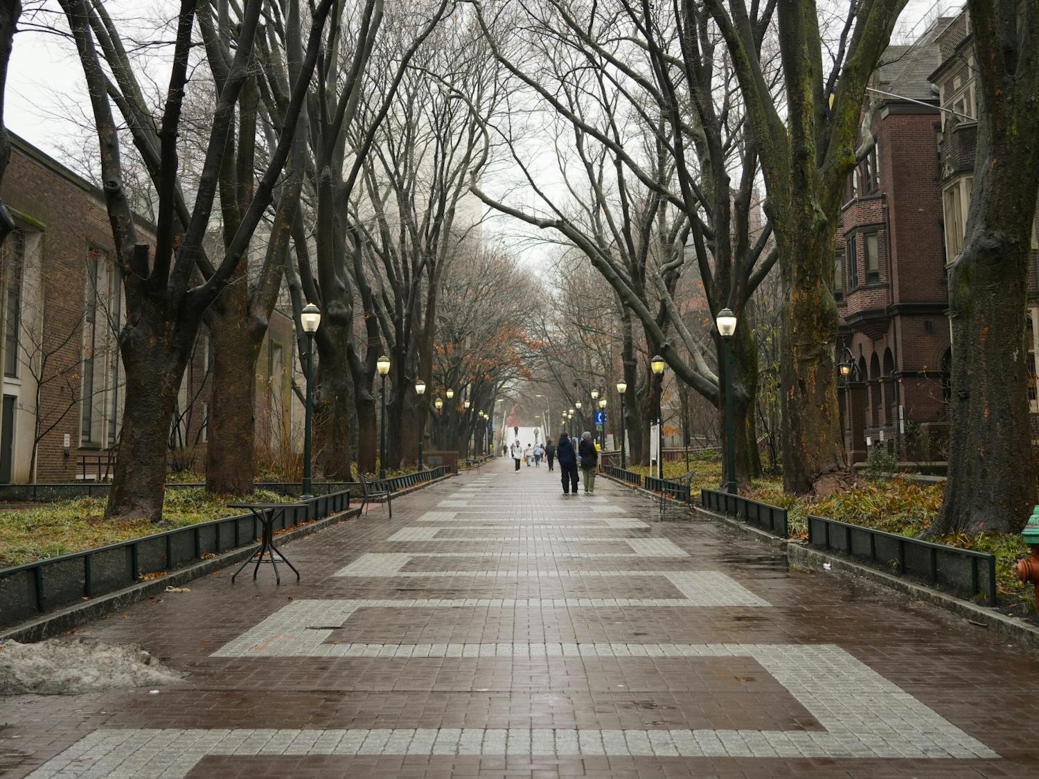 02-16-25 Locust (Netra Mehta).jpg