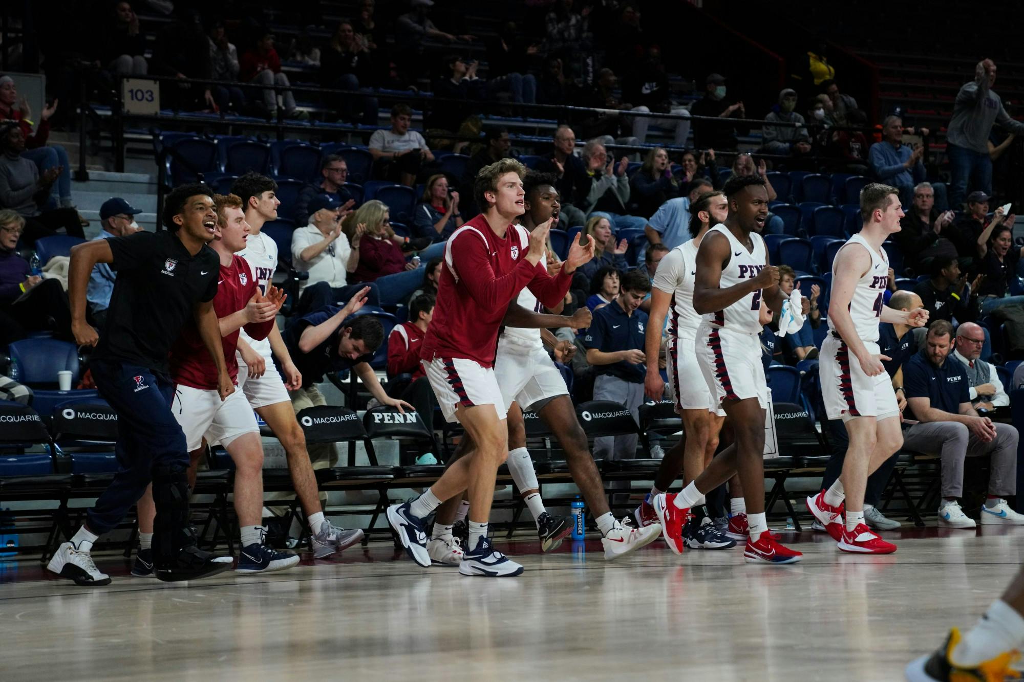 11-13-22 Men's Basketball vs Towson Sidelines (Anna Vazhaeparambil)-01.jpg