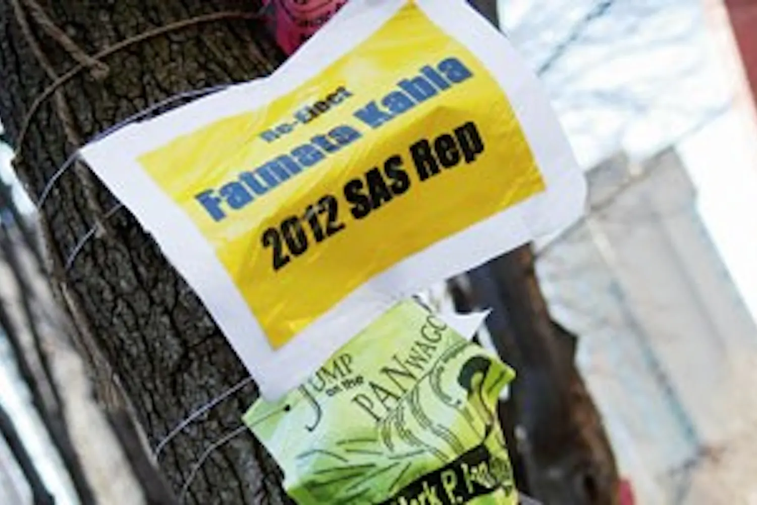 Voter turnout likely to top past years in student government elections