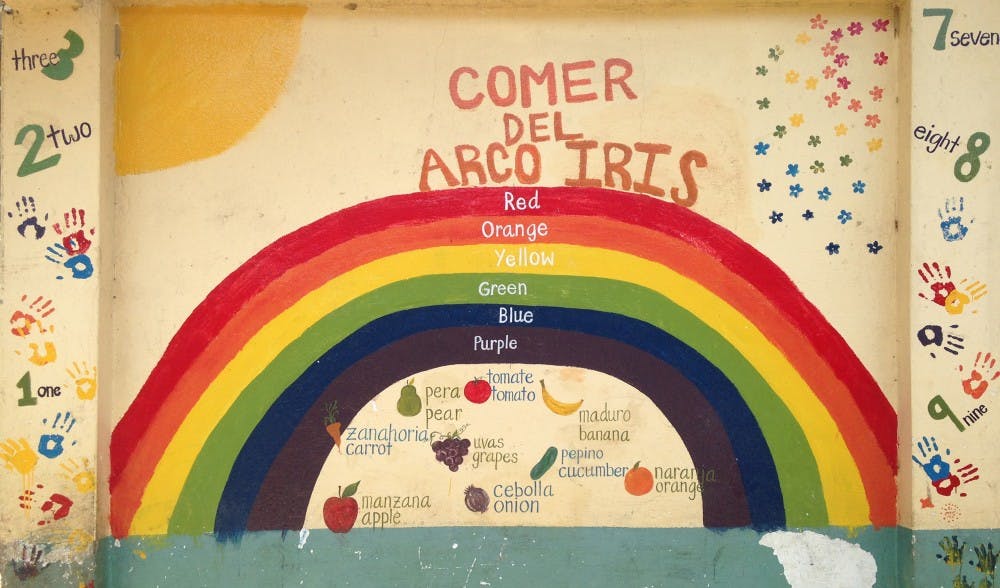 Nourish members painted a mural at a school in Chuya Yaku, a rural village in Ecuador.