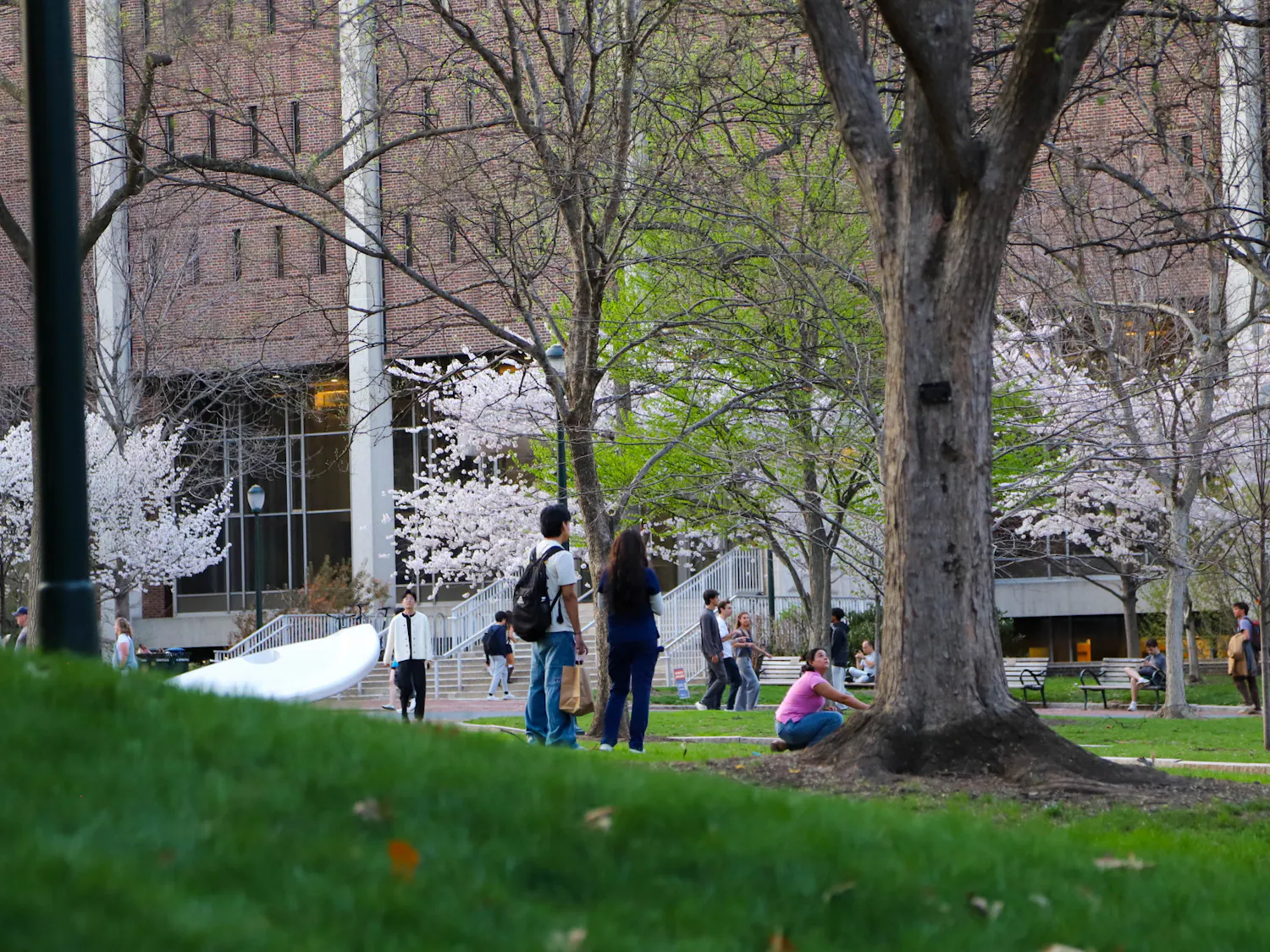 04-01-26 Campus Photowalk (Connie Zhao).jpg