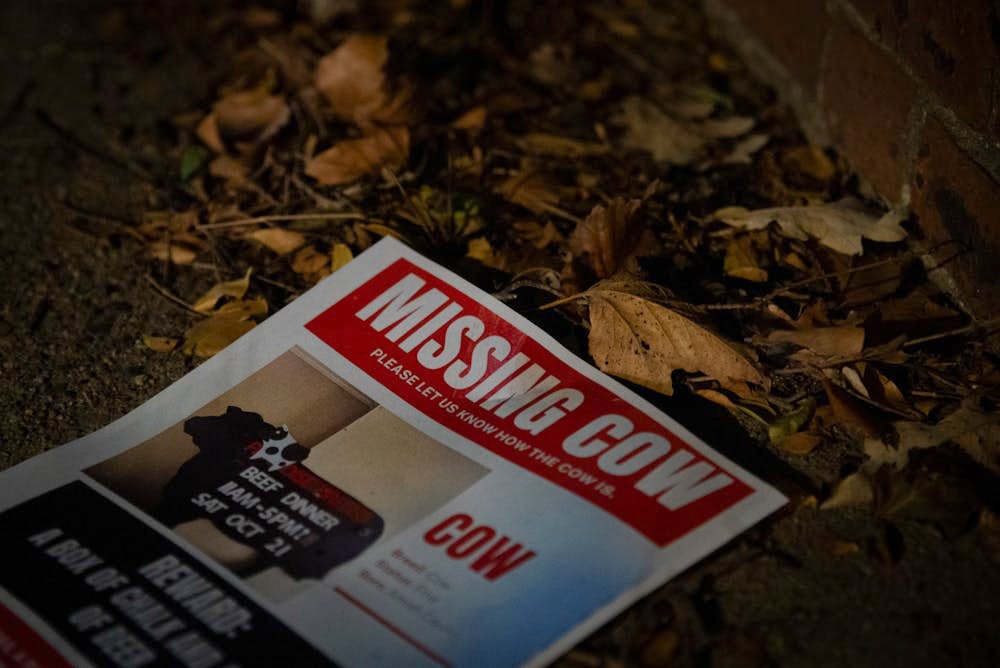 11-16-23 Missing Cow Poster (Chenyao Liu).jpg