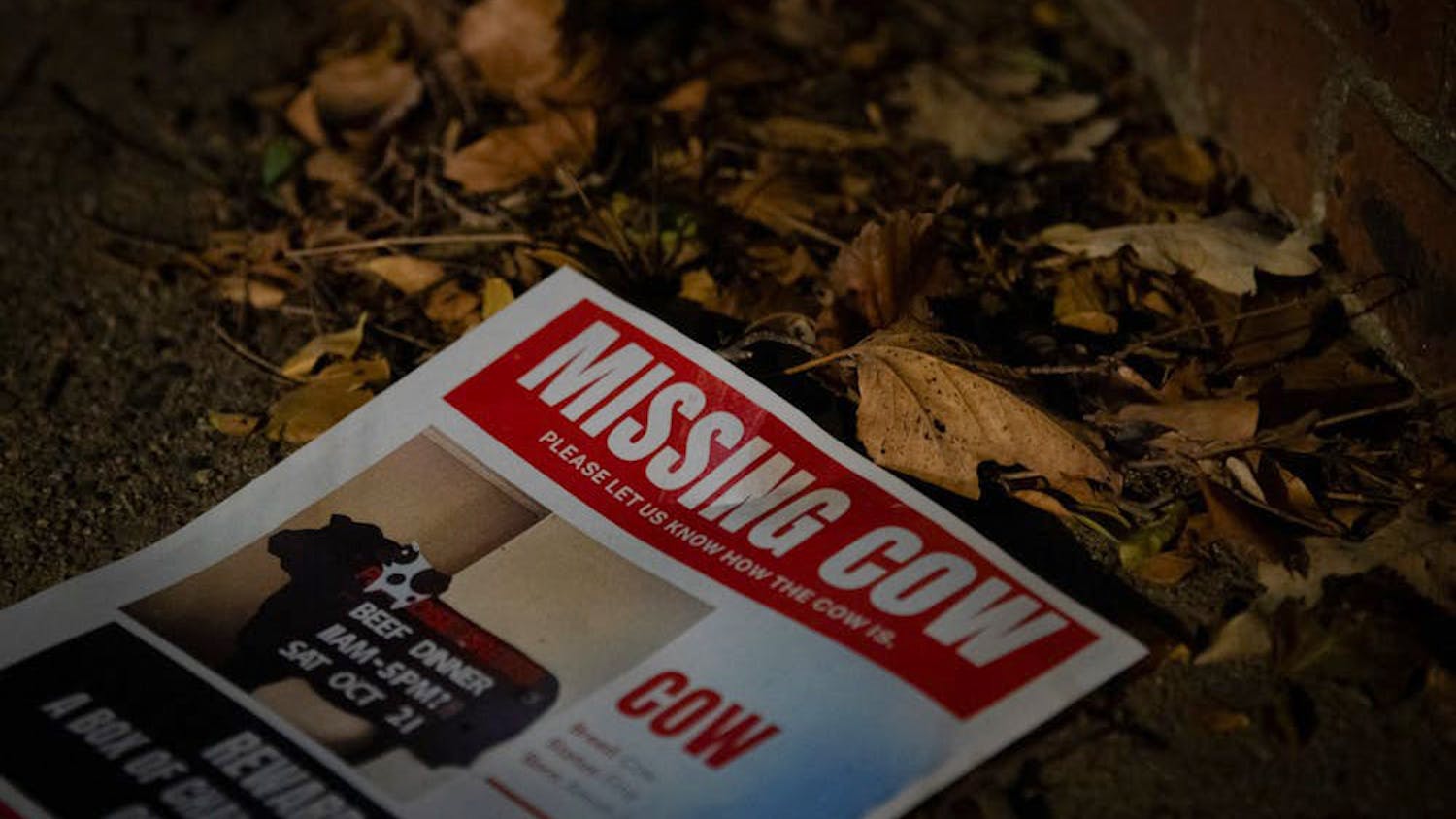 11-16-23 Missing Cow Poster (Chenyao Liu).jpg