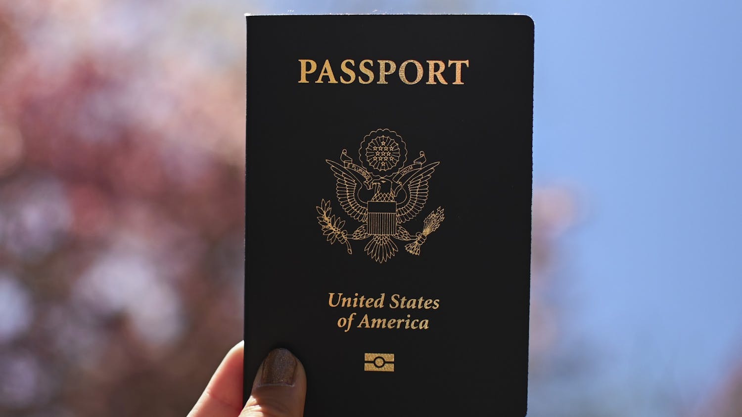 Study Abroad Passport Illustration (Kylie Cooper).jpg