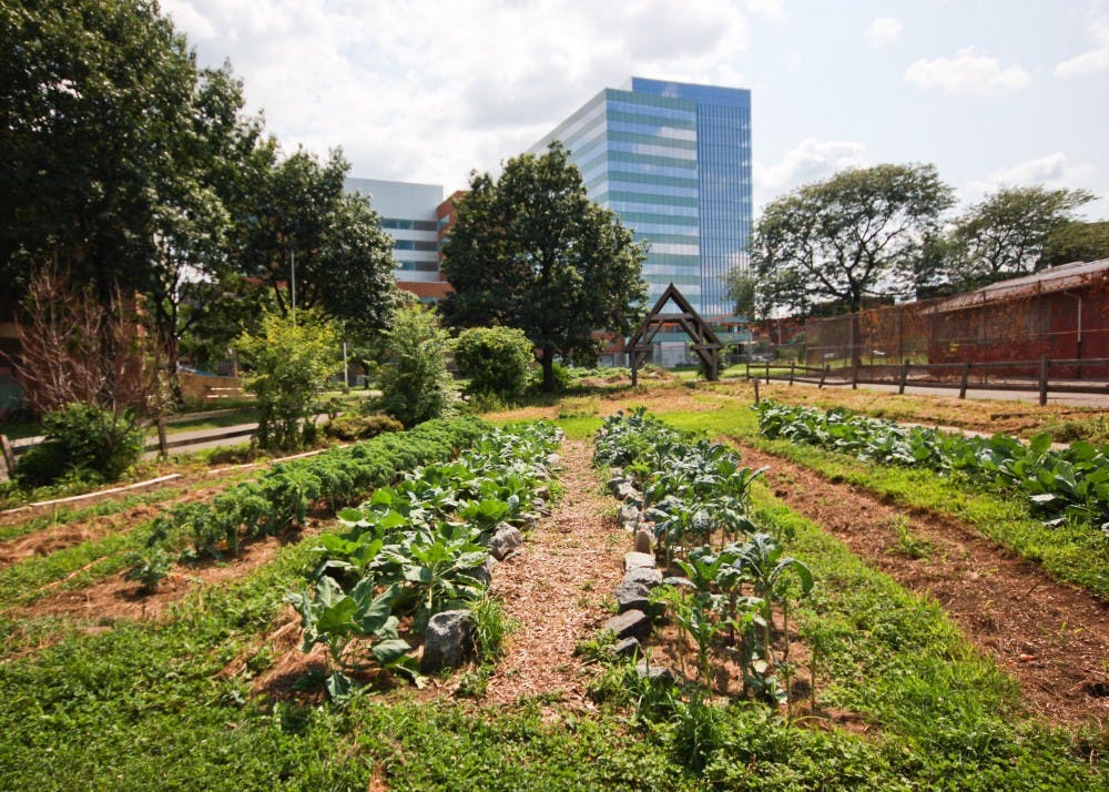 The community garden near the intersection of 36th and Warren streets produces about two tons of fruits and vegetables each year. 