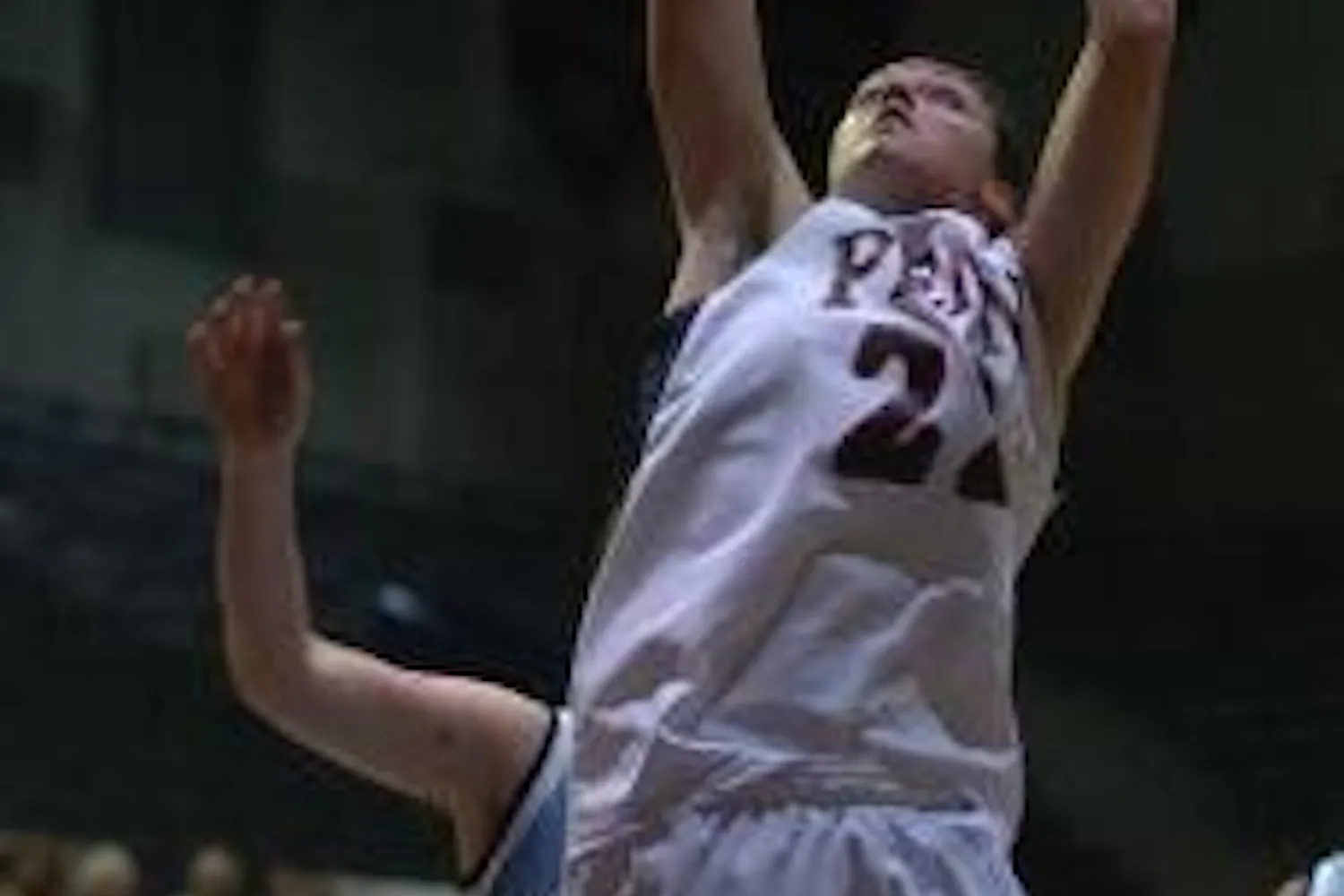 A zebra's daughter in Red and Blue