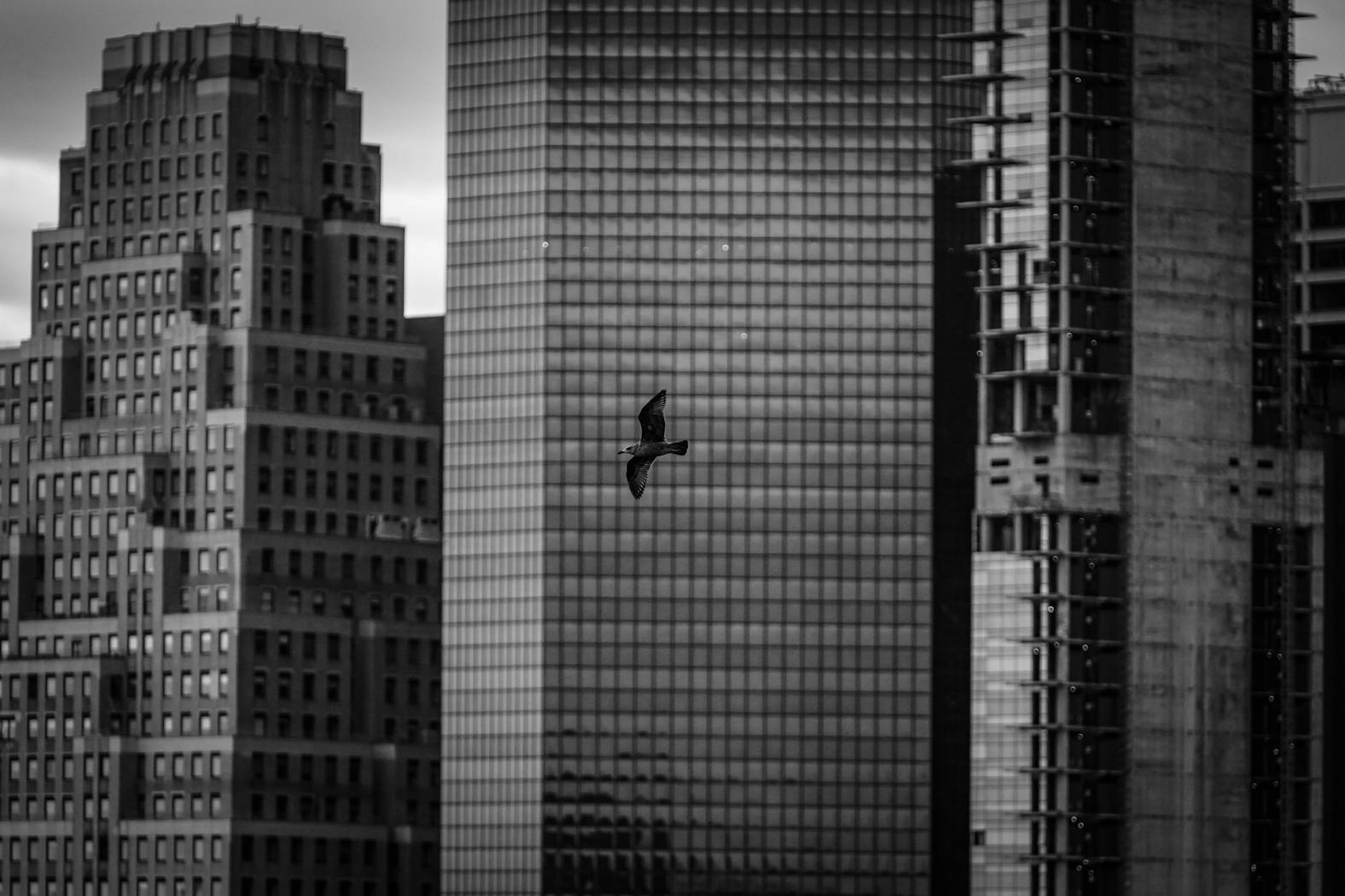 Coronavirus in NYC - by Chase Sutton 013A.jpg