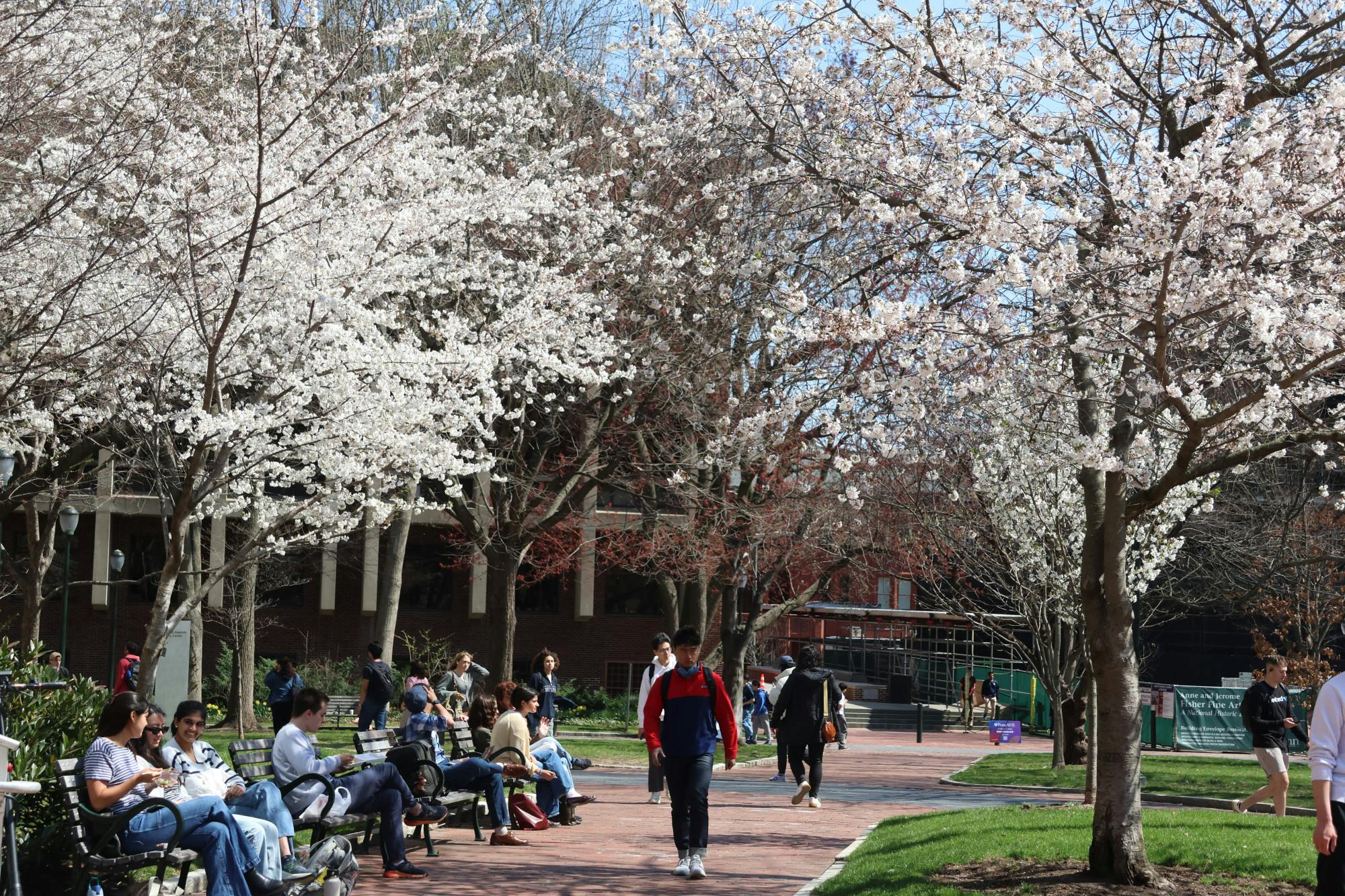 03-30-26 Students outside and Locust Walk (Anna Wu).jpg