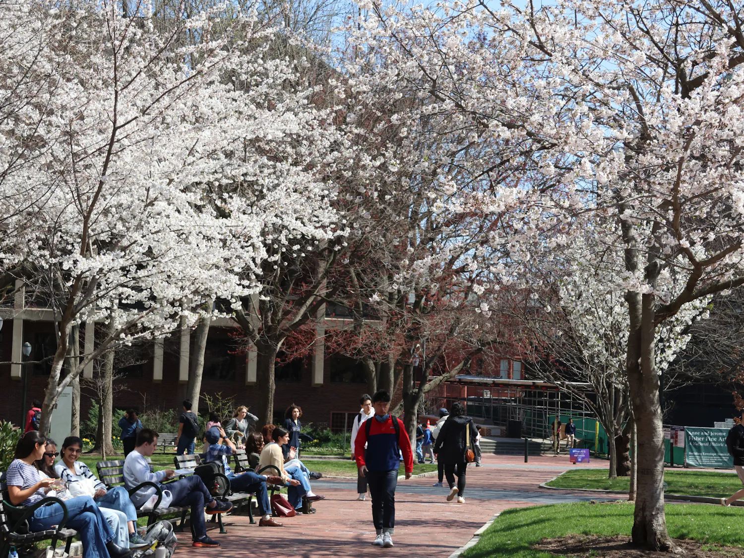 03-30-26 Students outside and Locust Walk (Anna Wu).jpg