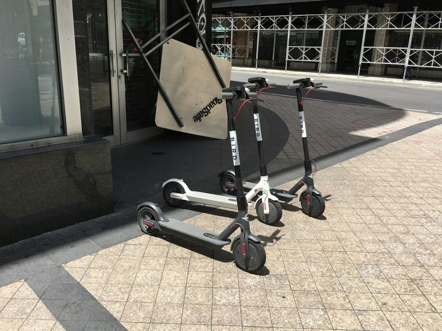 bird-electric-scooter.jpg