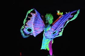 Ringing in the Rotunda’s 10th birthday