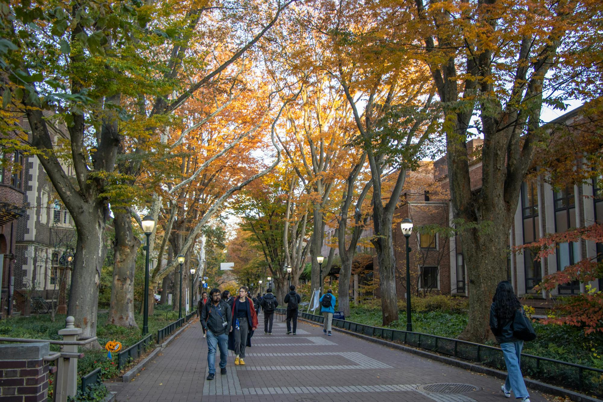 11-06-25 Locust Walk (Rachel Na).jpg