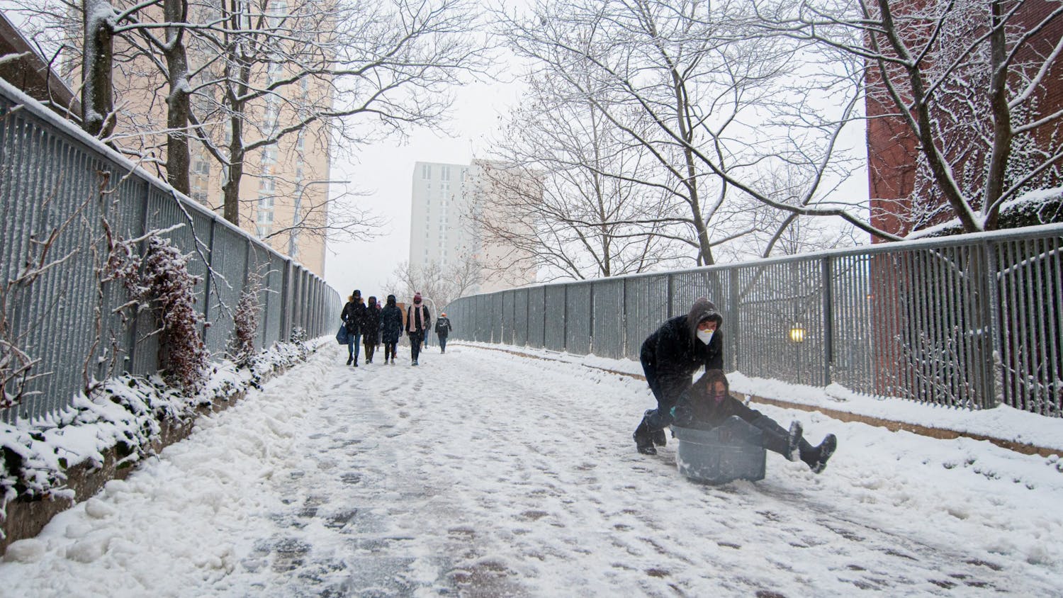 In Photos: Students let loose, sledding on Locust and sculpting snowmen as Orlena hits Penn