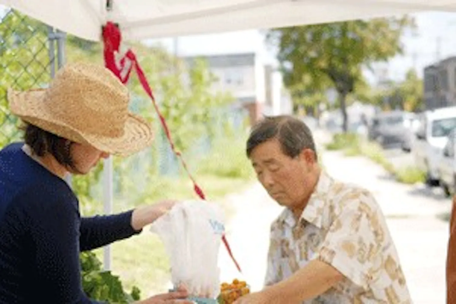 Urban farm tills the West Phila. fields