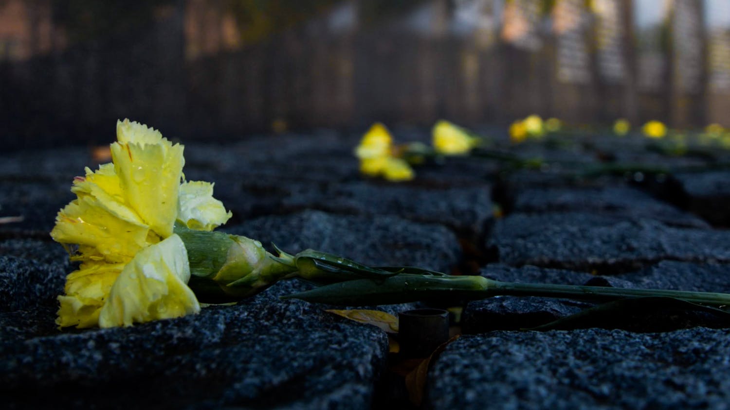 Yellow Flower Memorial Spring 2021 Covid (Kylie Cooper)