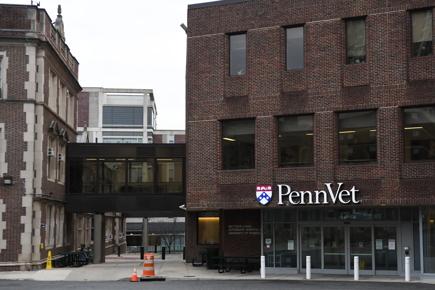 02-11-24 Penn Dental Medicine-Penn Vet (Carly Zhao)-8.jpg