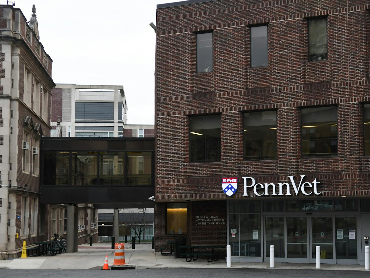 02-11-24 Penn Dental Medicine-Penn Vet (Carly Zhao)-8.jpg