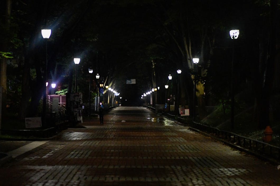 Locust Walk at Night 