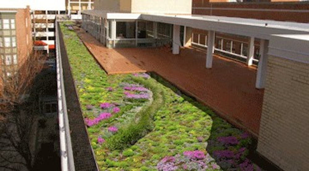 University comparisons take on a new shade - green