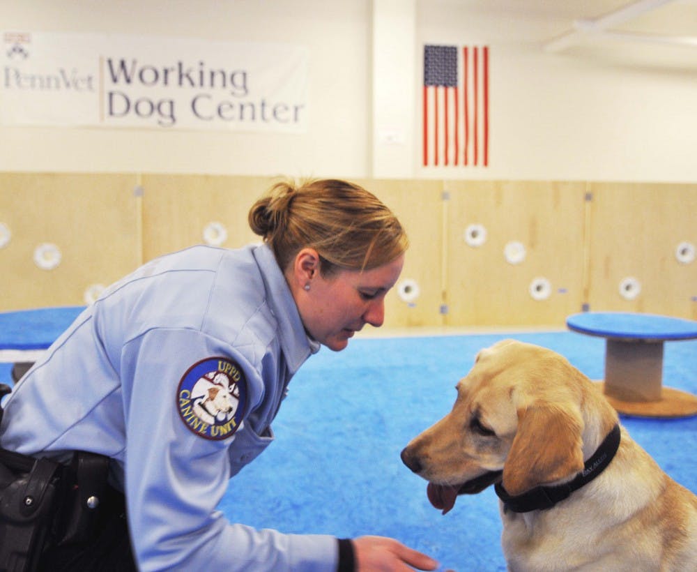Officer Socks, bomb-sniffing dog for Penn Police