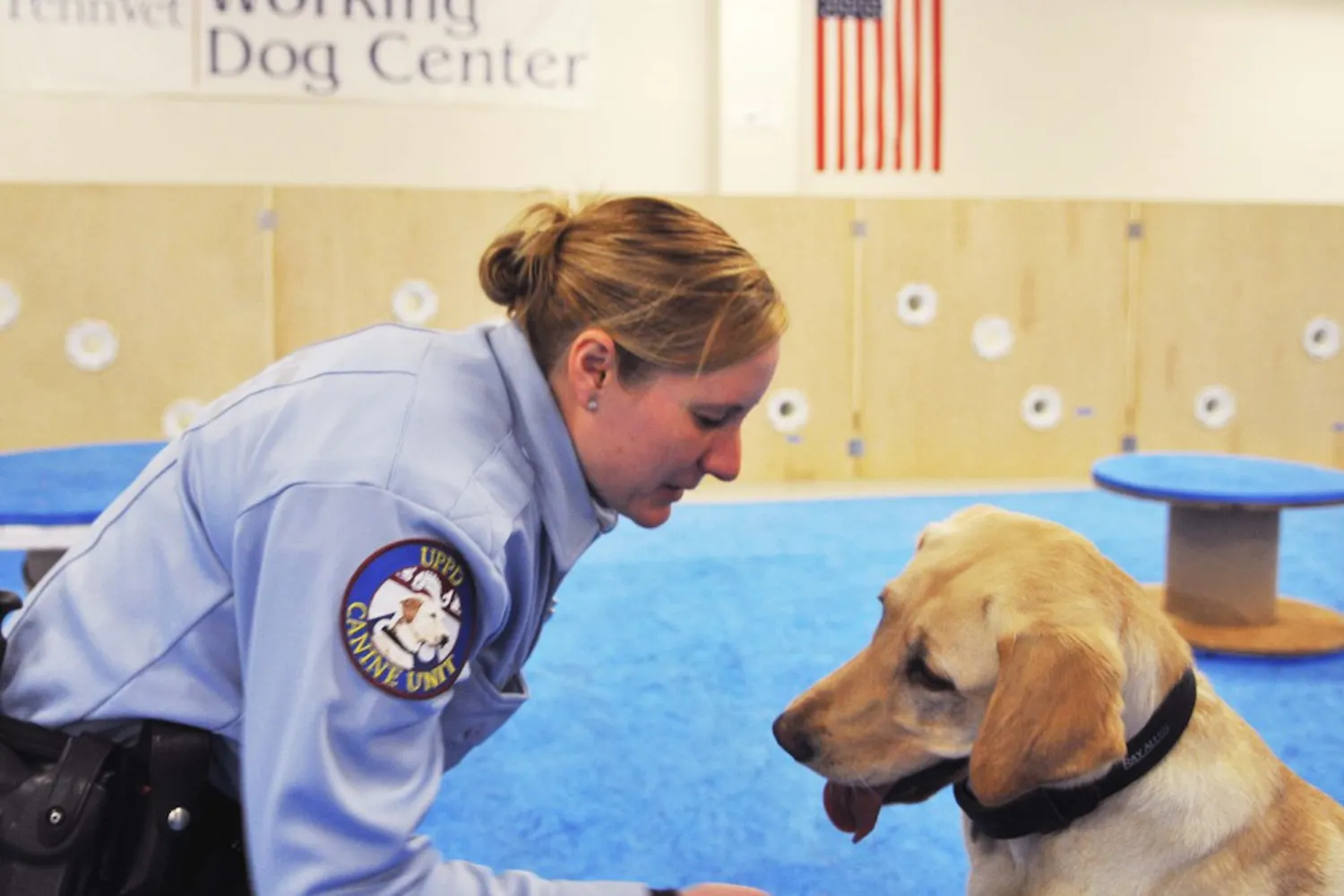 Officer Socks, bomb-sniffing dog for Penn Police