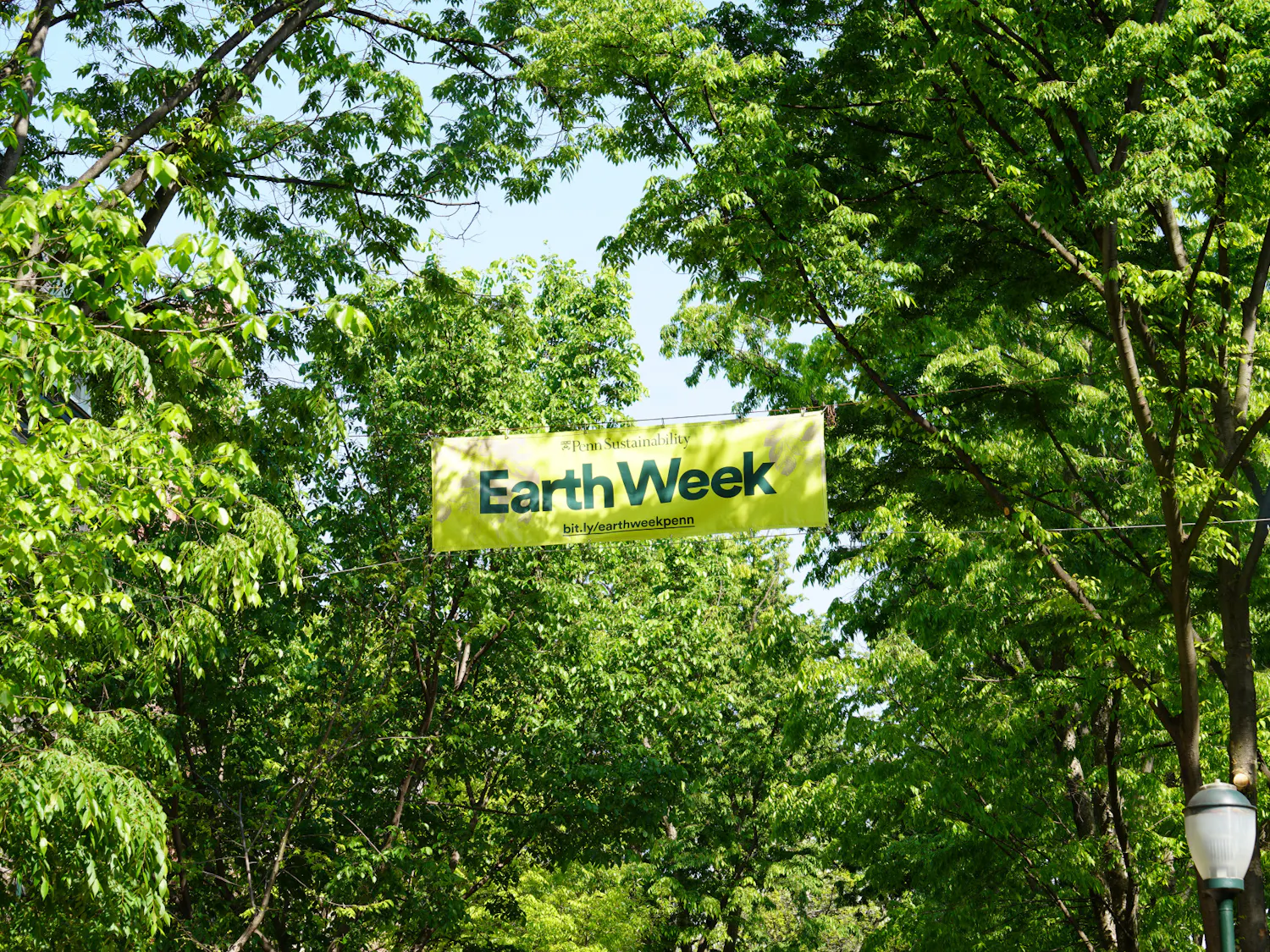 04-23-26 Campus:Earth Week:Wharton (Ebunoluwa Adesida).jpg