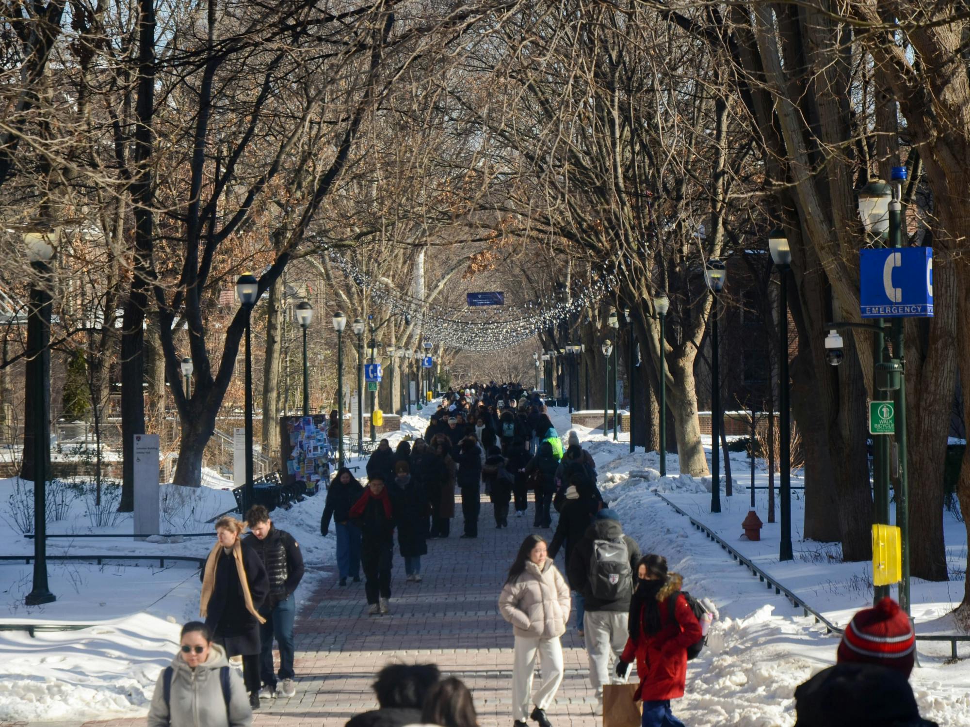 2-1-26 College Hall-Locust (Jacob Hoffberg).jpg